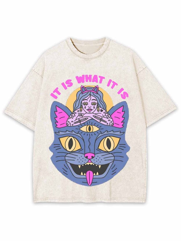 It Is What It Is Washed Tshirt