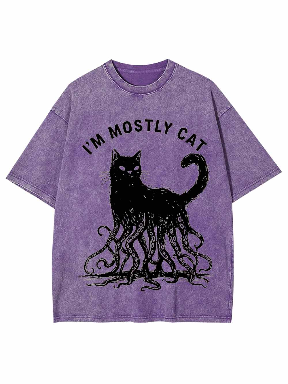 I Am Mostly Cat Washed Tshirt