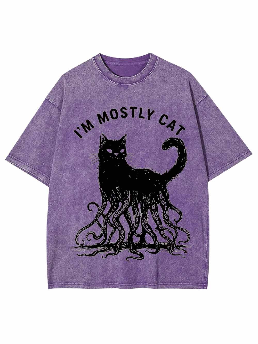 I Am Mostly Cat Washed Tshirt