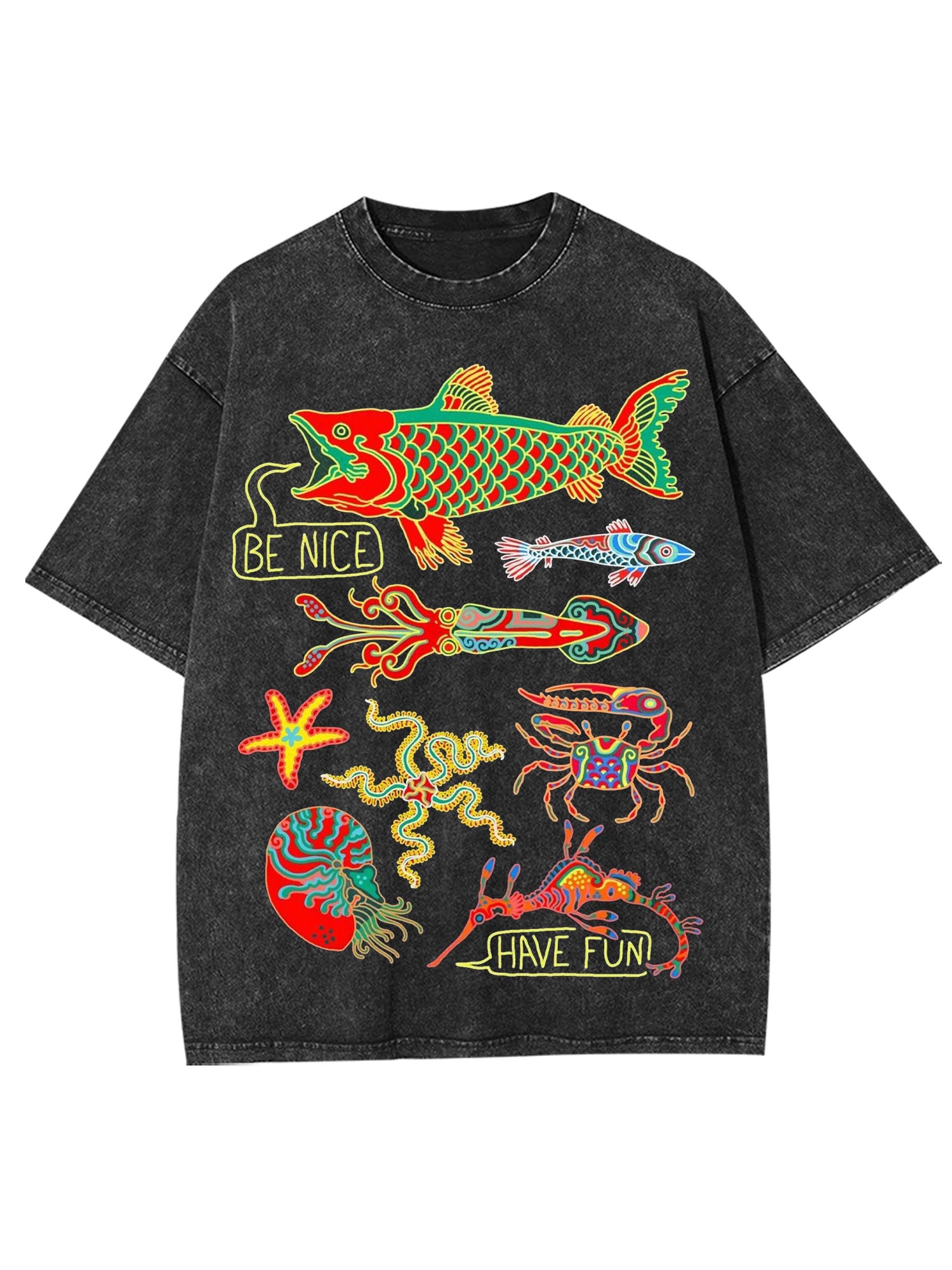 Be Nice Have Fun Washed Tshirt