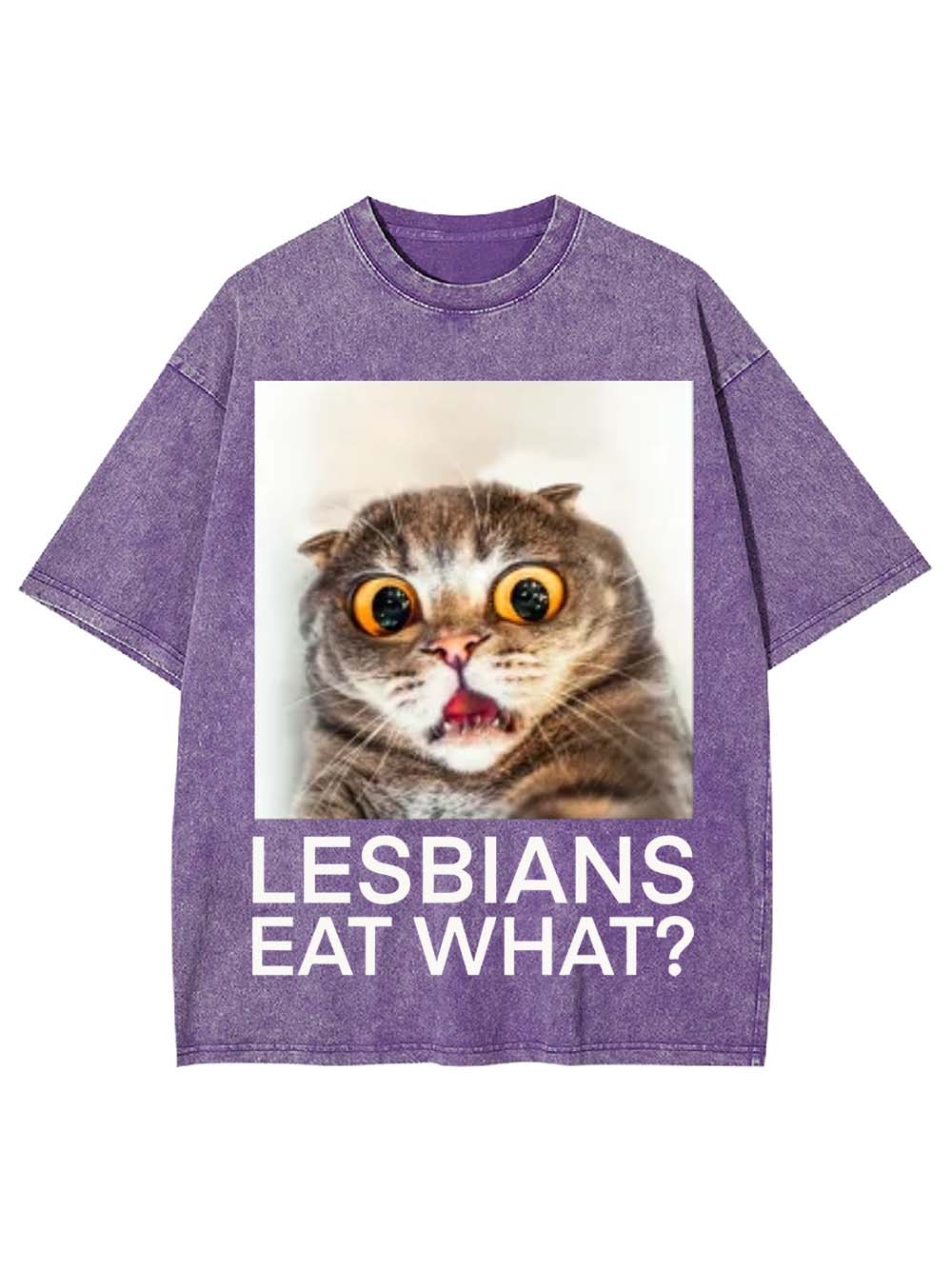 LESBIANS EAT WHAT? WASHED TSHIRT