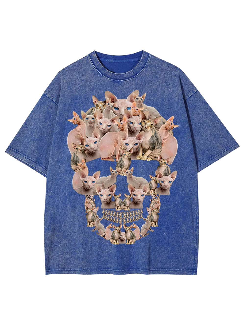 Feline Skull Society Washed Tshirt