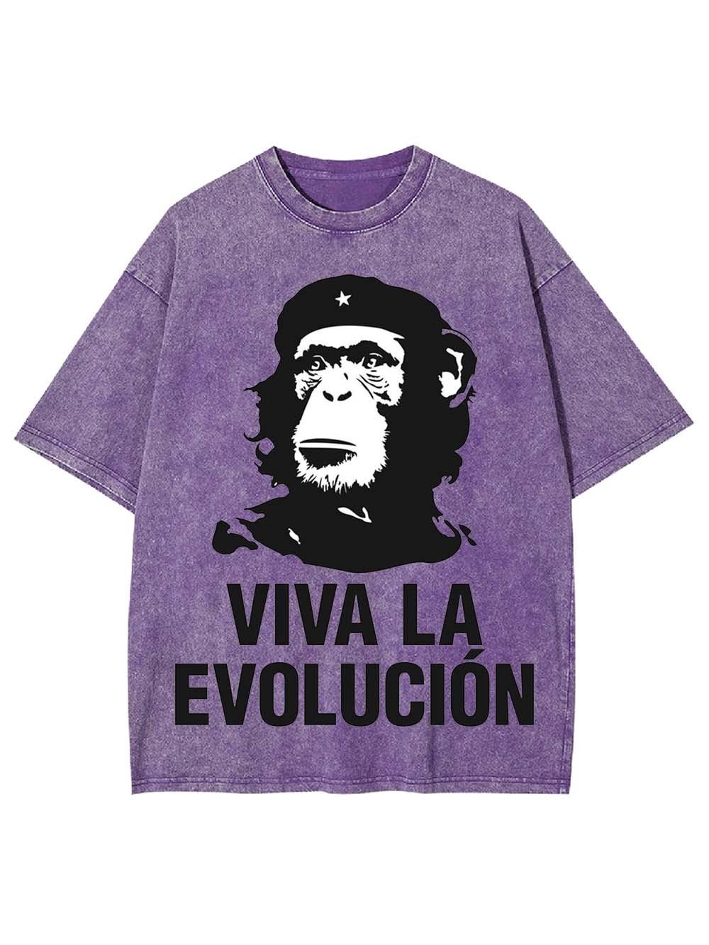 Viva La Evolucion Washed Tshirt