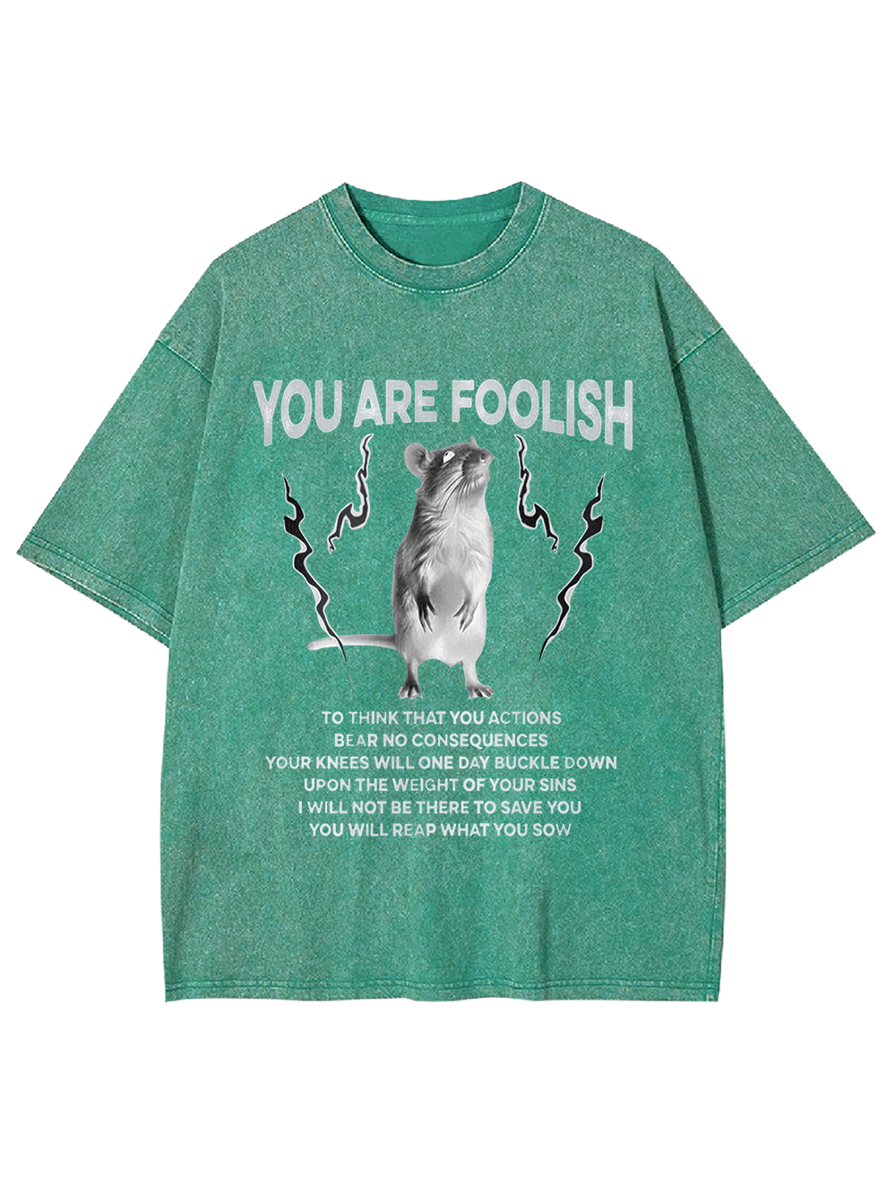 You Are Foolish Washed Tshirt