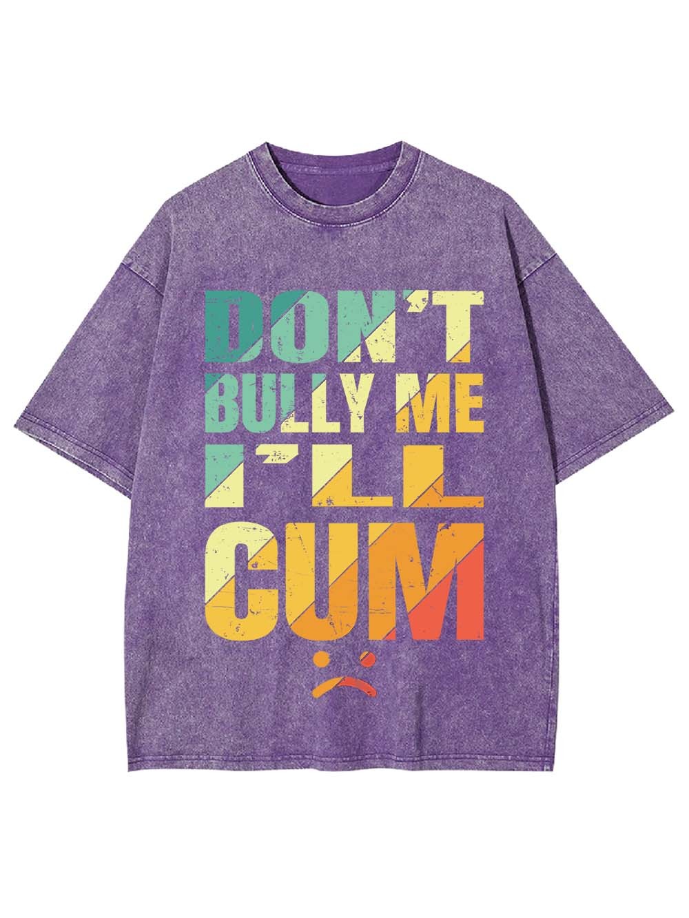 Don't Bully Me I'll Cum Washed Tshirt
