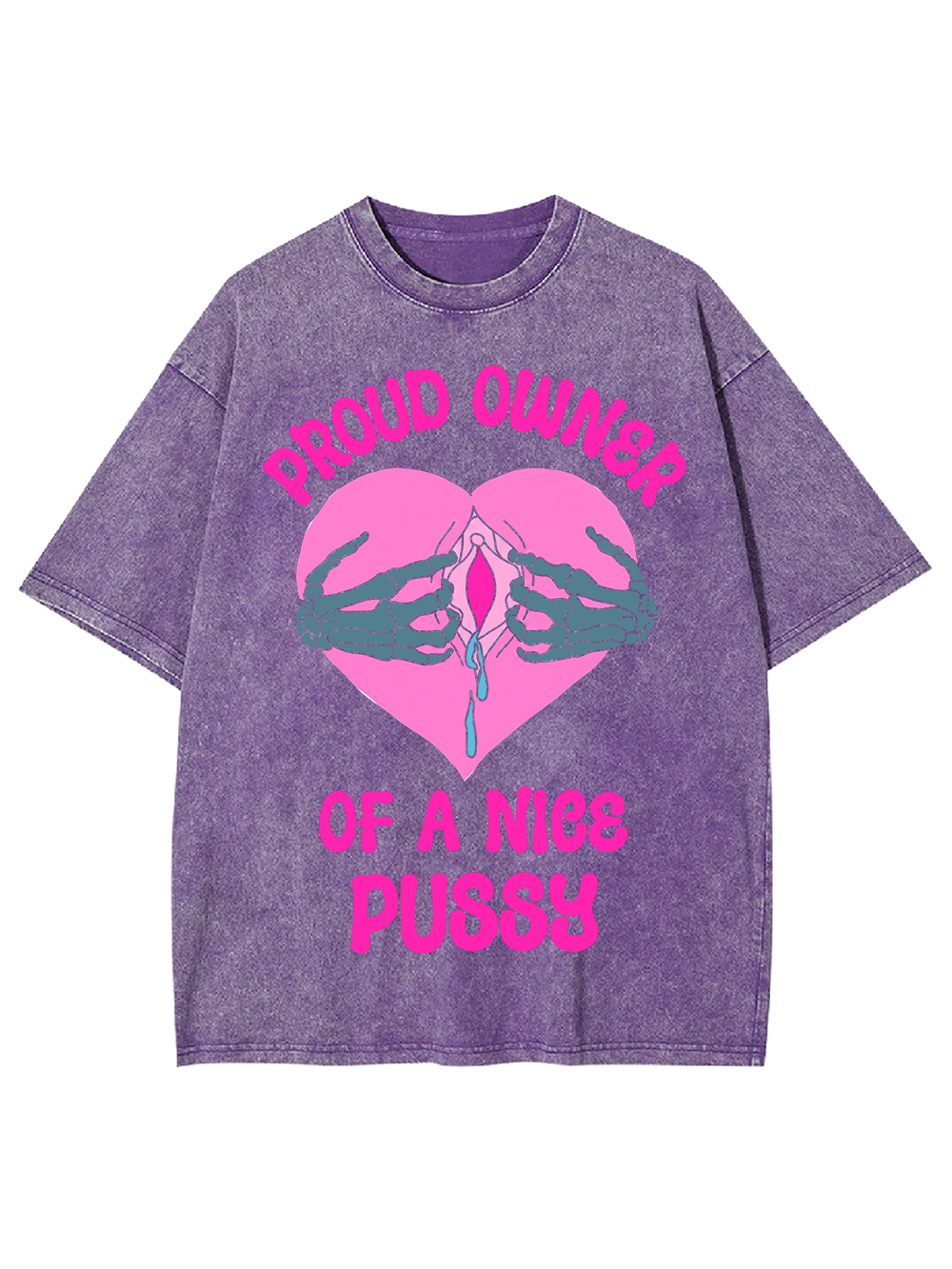 PROUD OWNER OF A NICE PUSSY WASHED TSHIRT