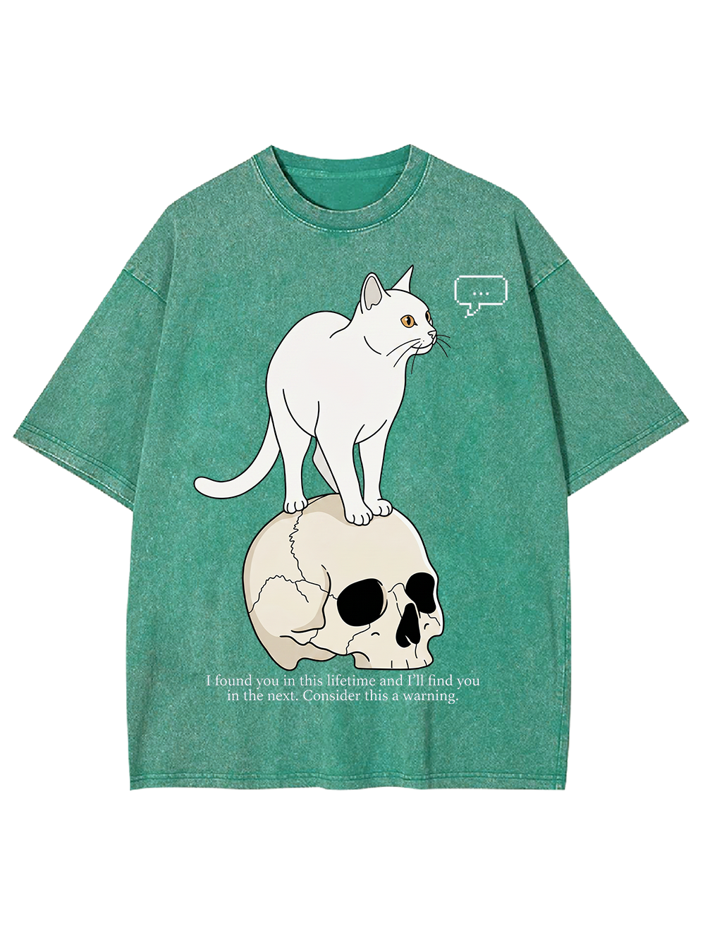 CAT OF MANY LIFETIMES WASHED TSHIRT
