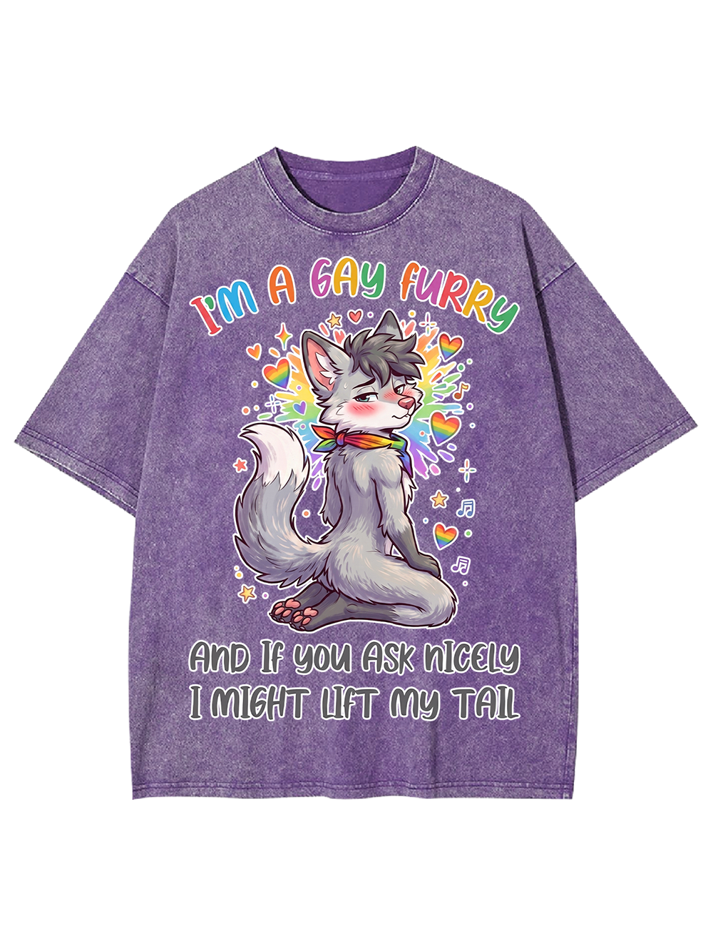 I'M A GAY FURRY AAA WASHED TSHIRT