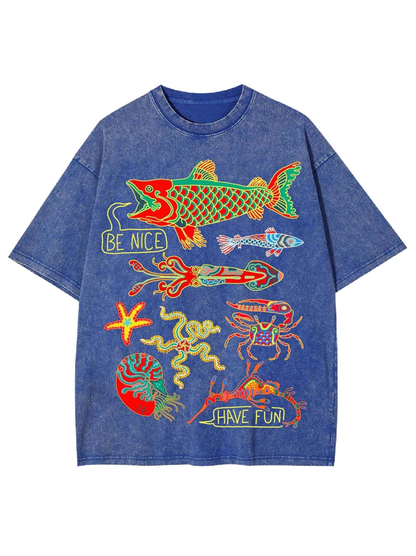 Be Nice Have Fun Washed Tshirt