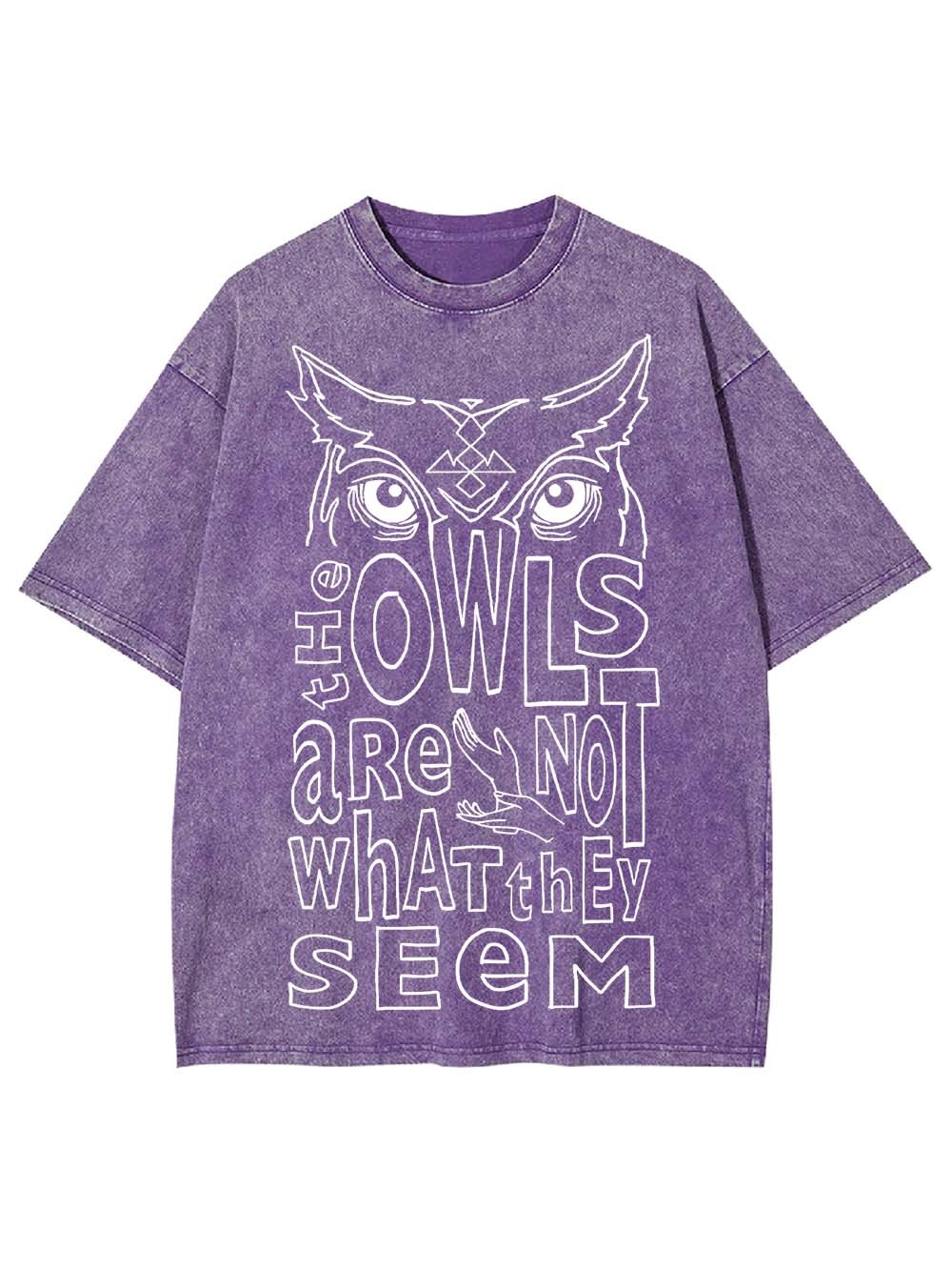 MYSTERIOUS OWLS WASHED TSHIRT