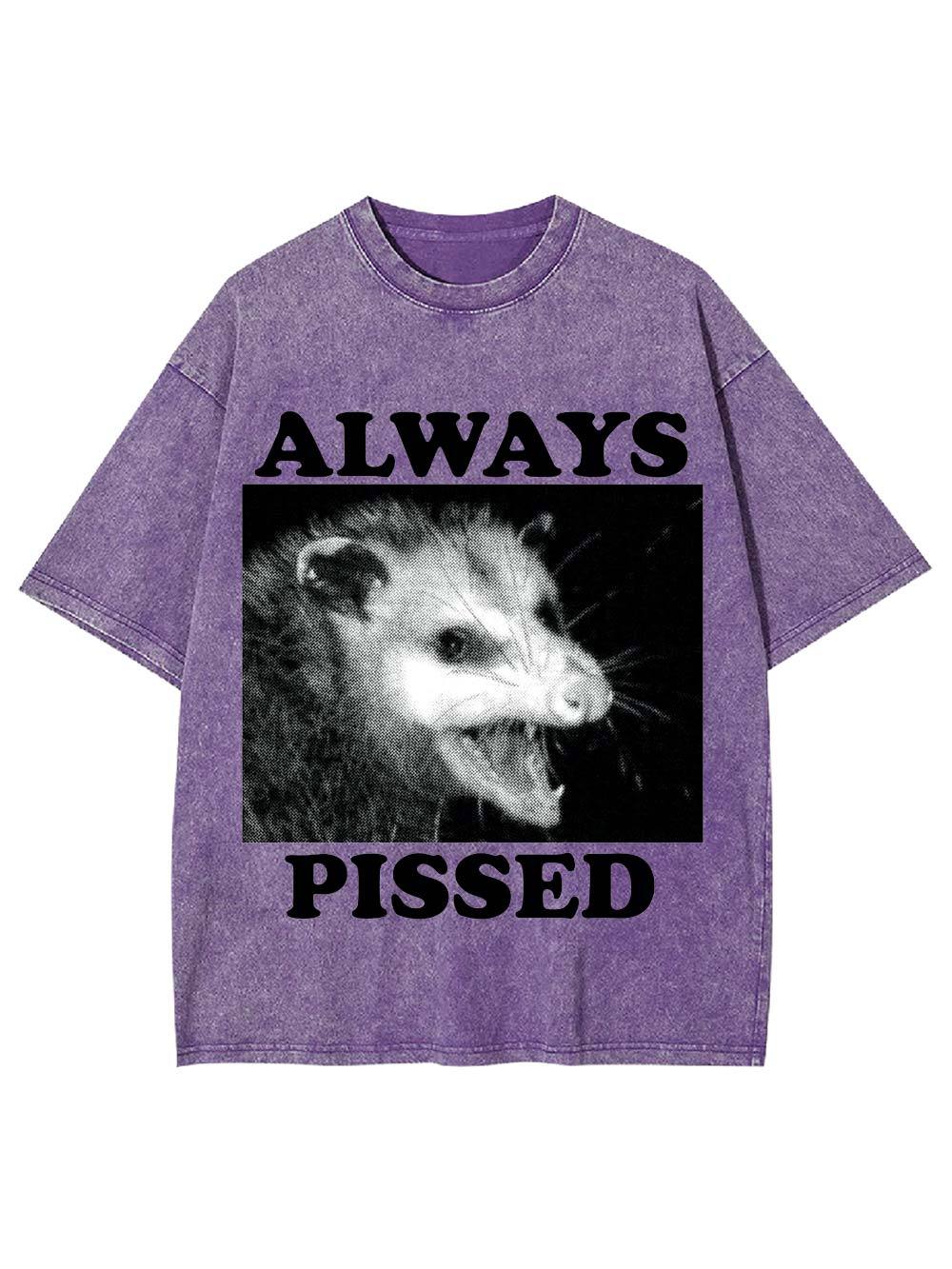 Always Pissed Washed Tshirt