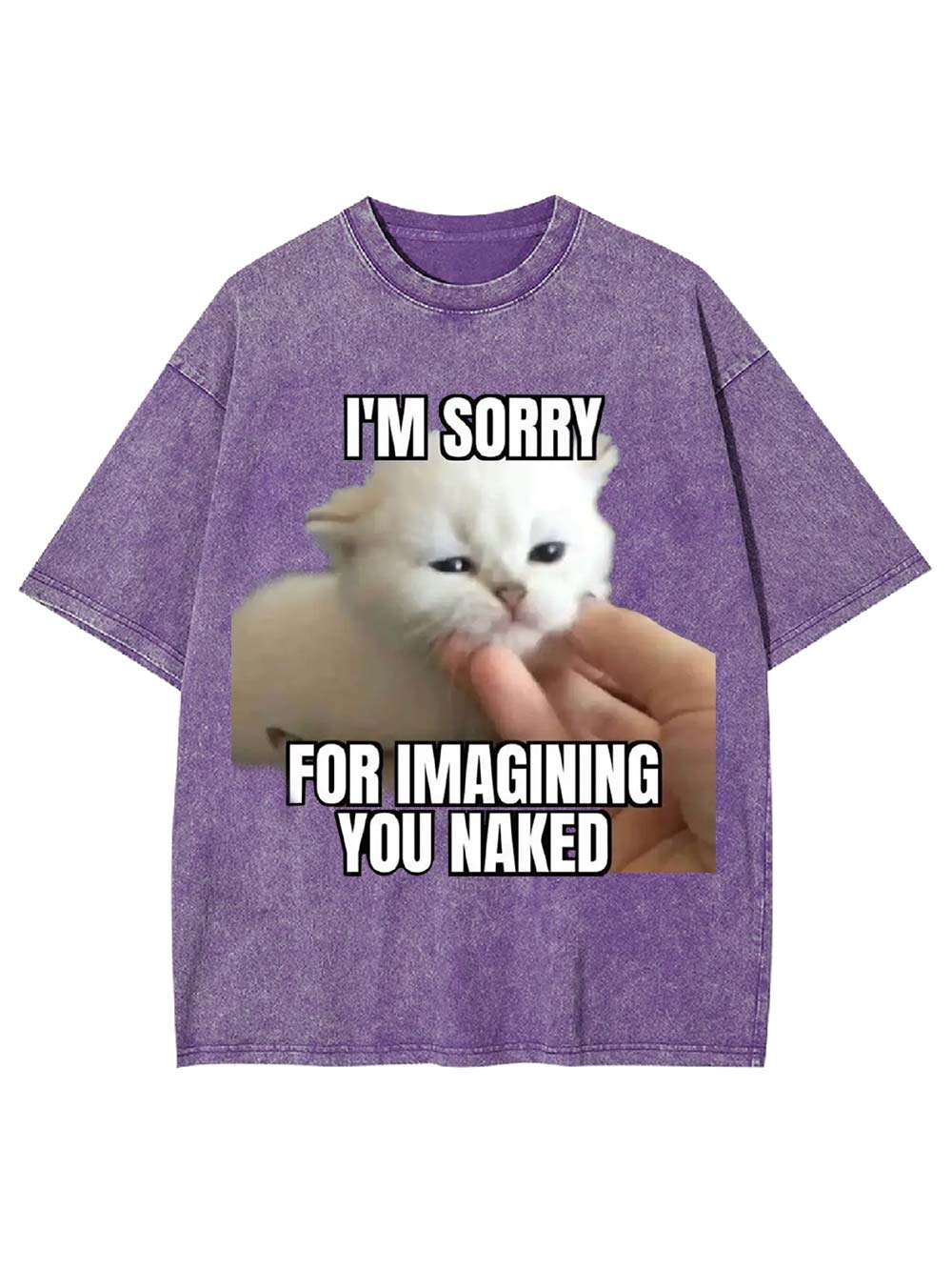 I'm Sorry for Imagining You Naked Washed Tshirt