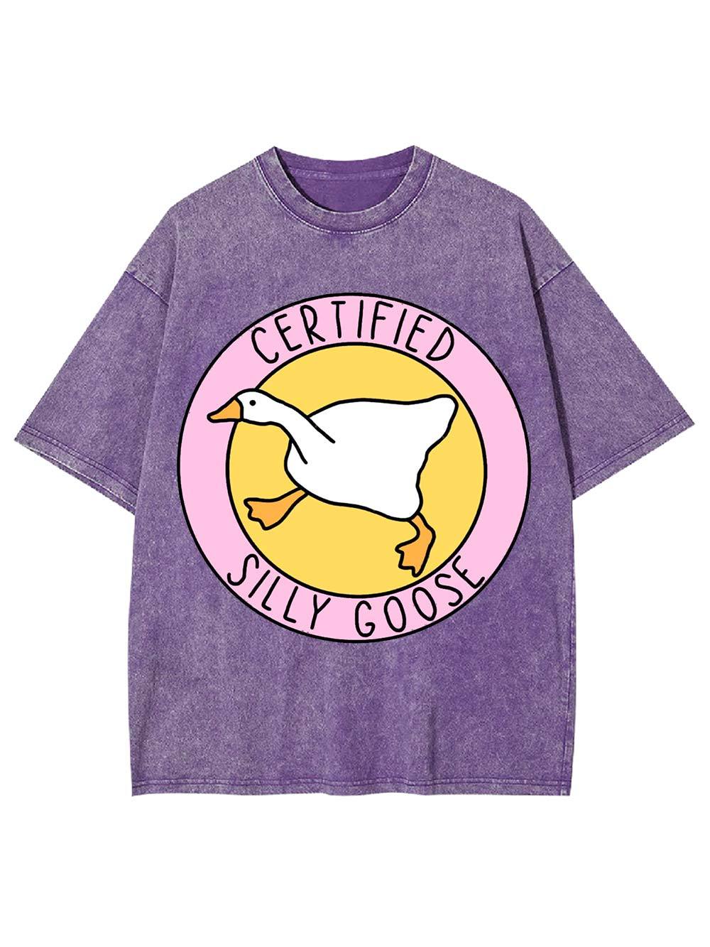 Certified Silly Goose Washed Tshirt
