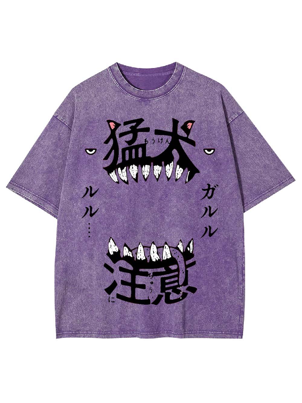 Beware of the Fierce Dog Washed Tshirt