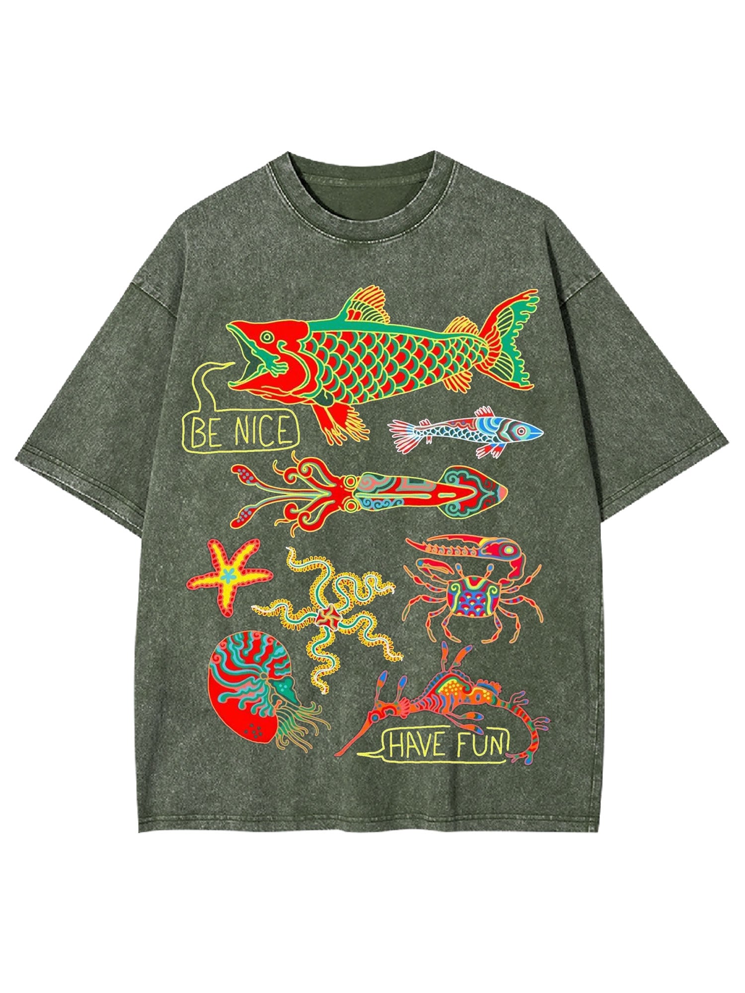 Be Nice Have Fun Washed Tshirt