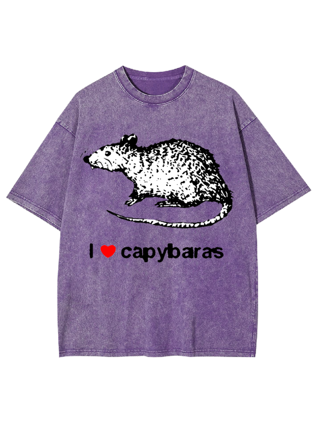 I Love Capybaras Washed Tshirt