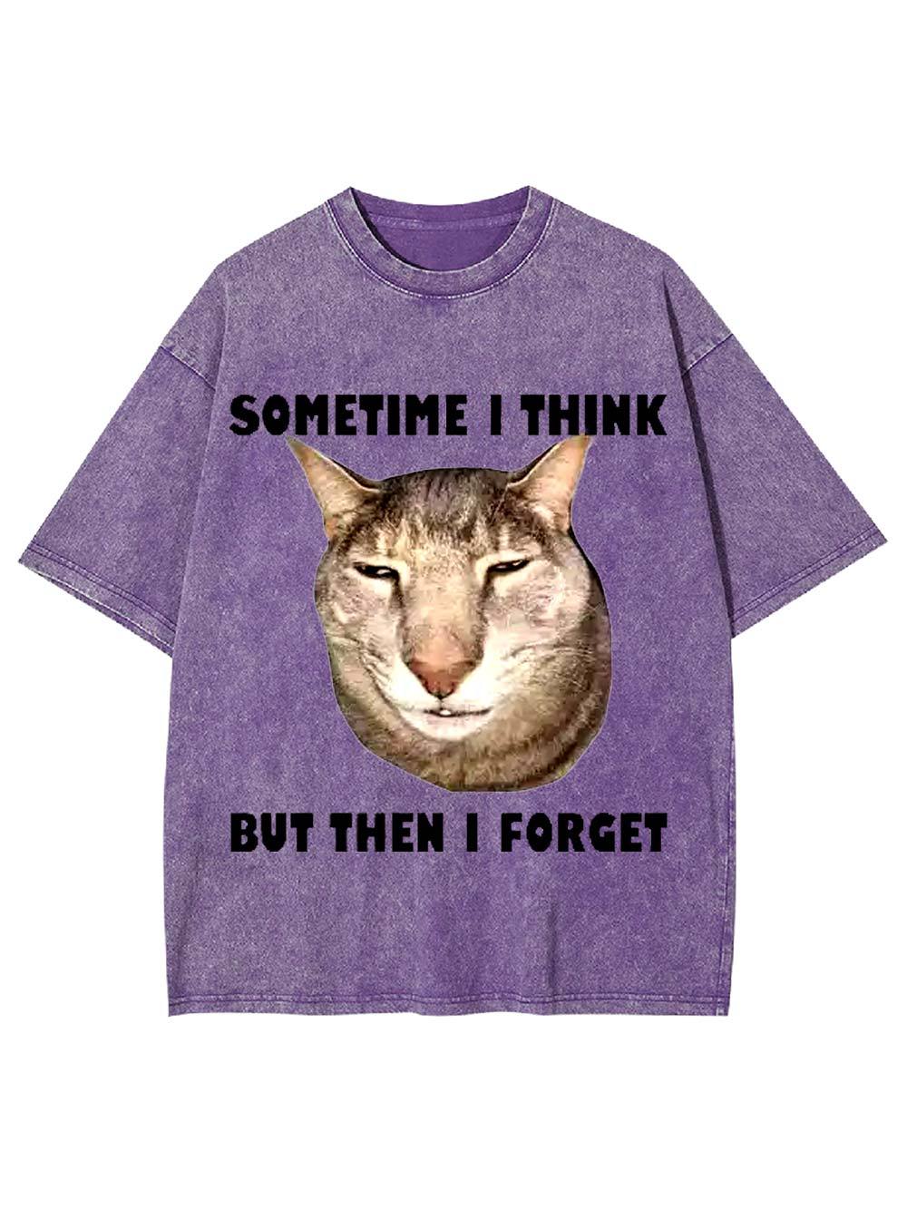 Sometime I Think   But Then I Forget  Washed Tshirt