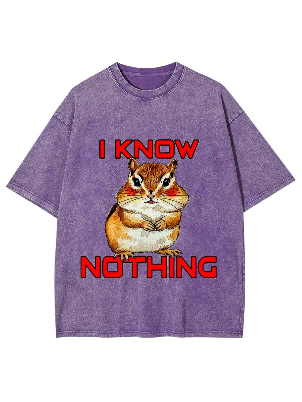 I Know Nothing Washed Tshirt