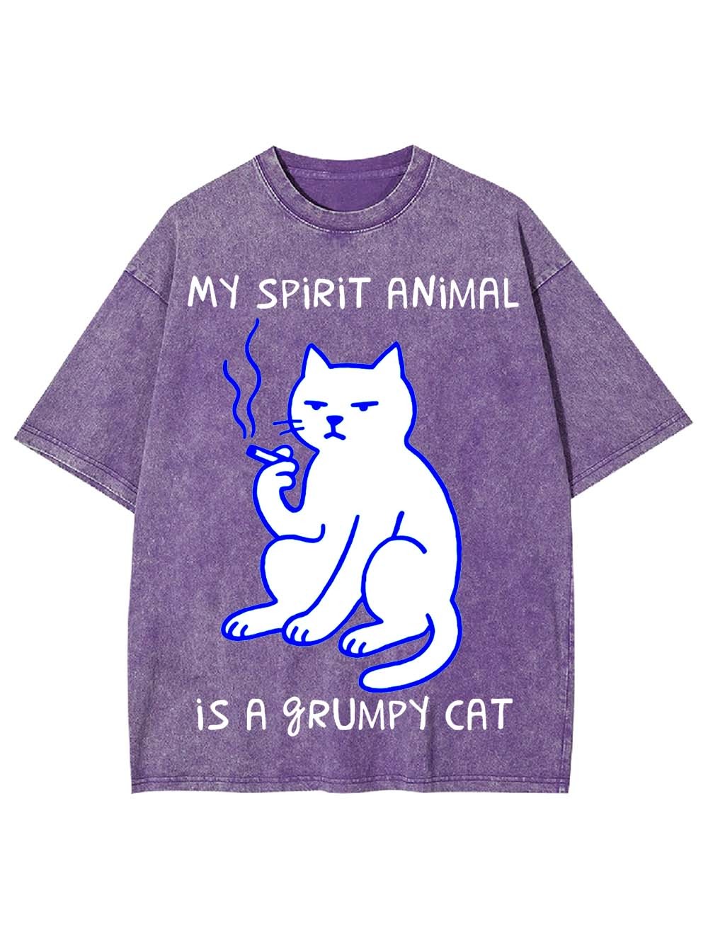 My Spirit Animal Is A Grumpy Cat Washed Tshirt