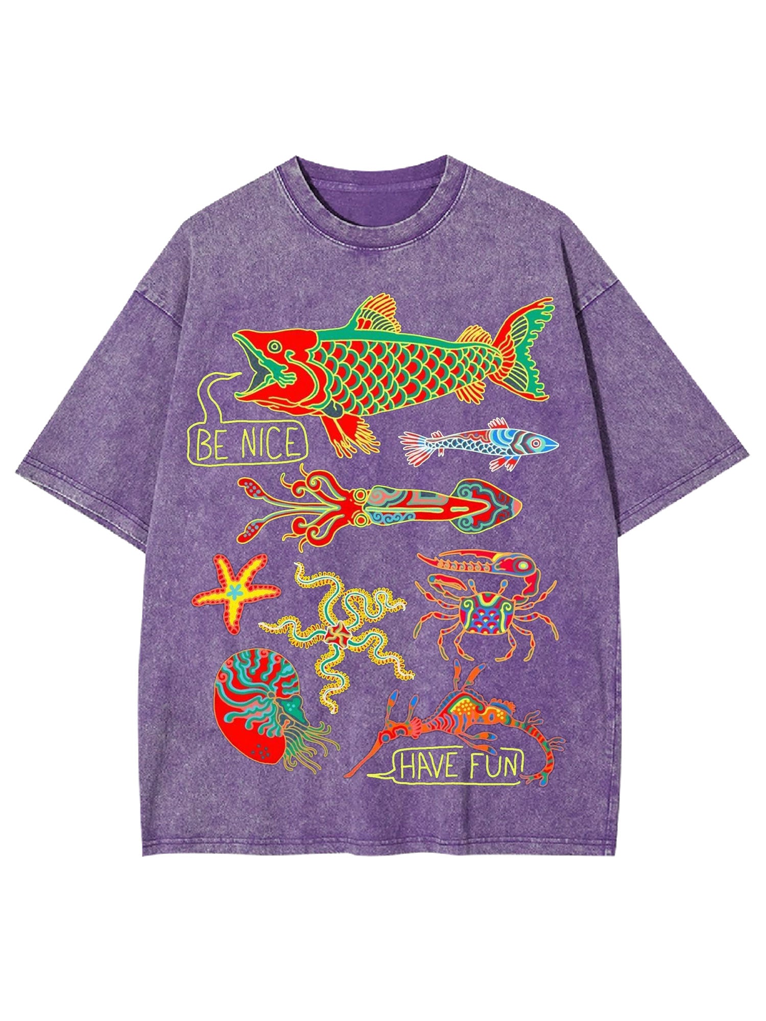 Be Nice Have Fun Washed Tshirt