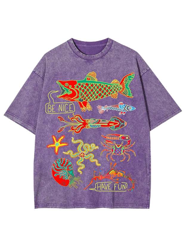 Be Nice Have Fun Washed Tshirt