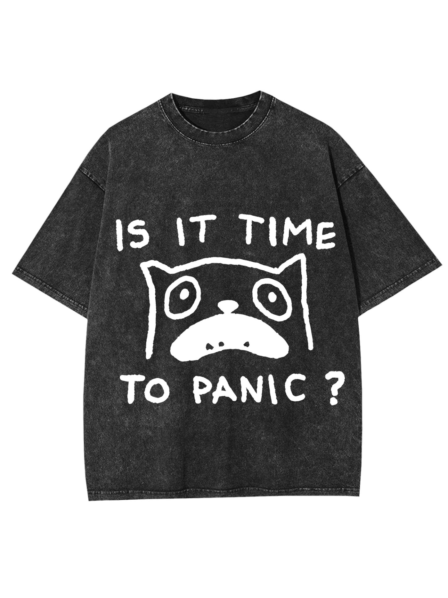 Is It Time To Panic Washed Tshirt