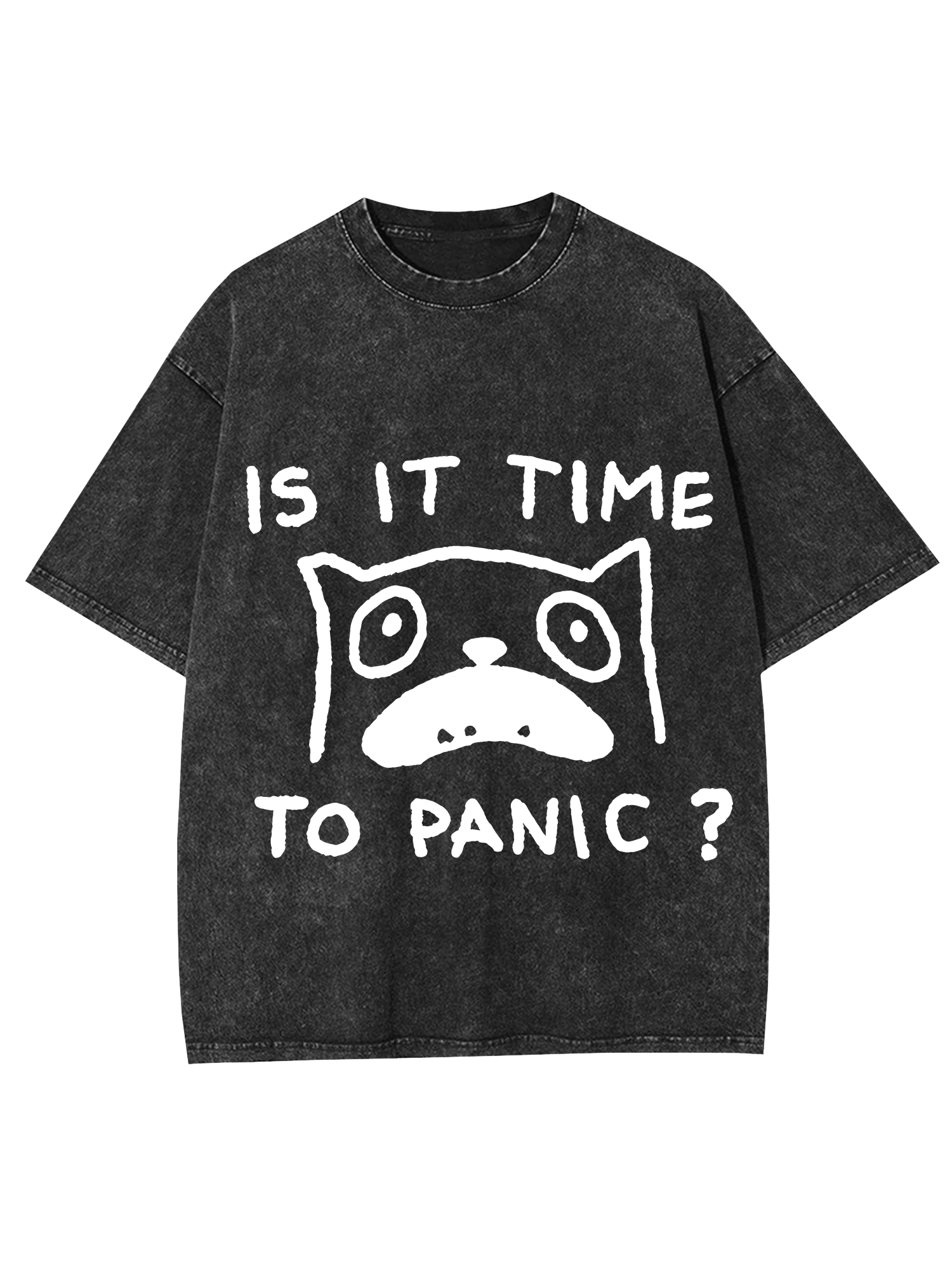 Is It Time To Panic Washed Tshirt