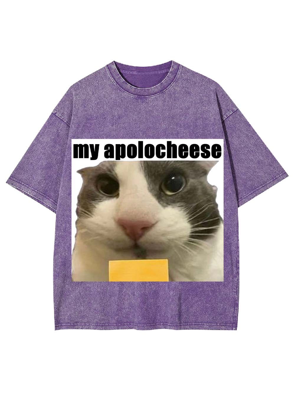 My Apolocheese Washed Tshirt