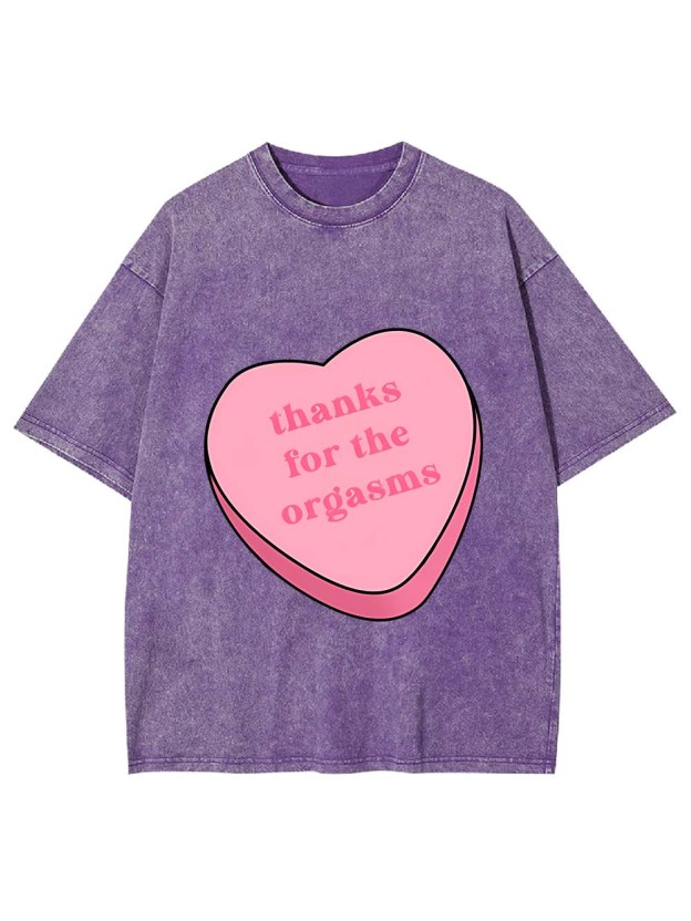 Thanks For The Orgasms Washed Tshirt
