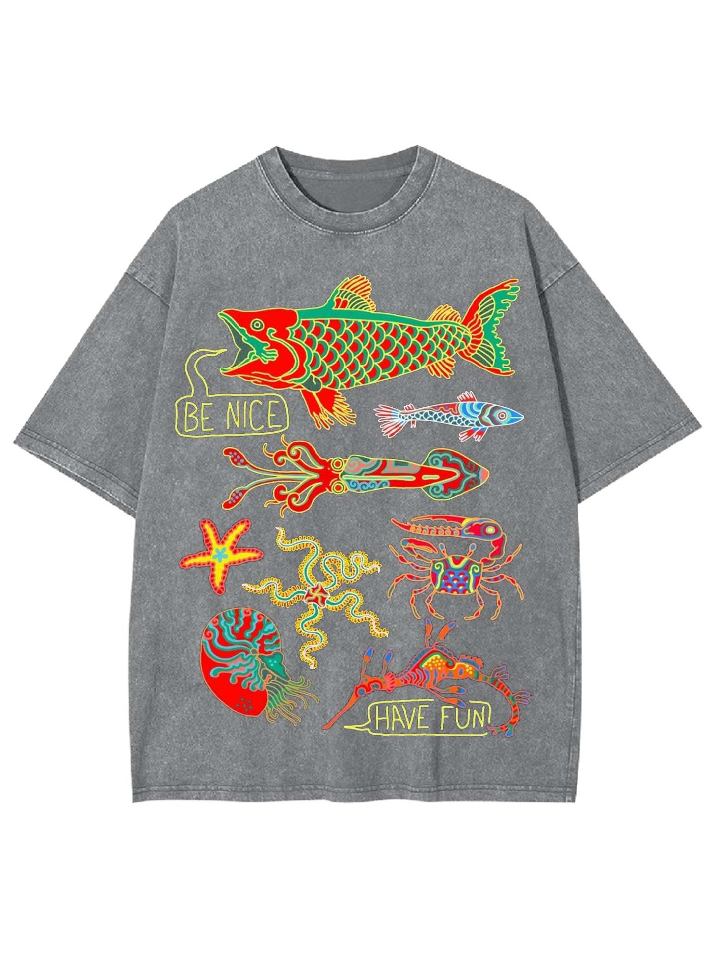 Be Nice Have Fun Washed Tshirt