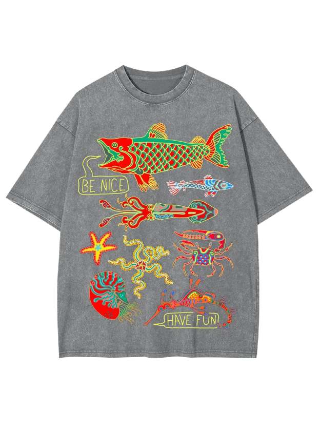 Be Nice Have Fun Washed Tshirt