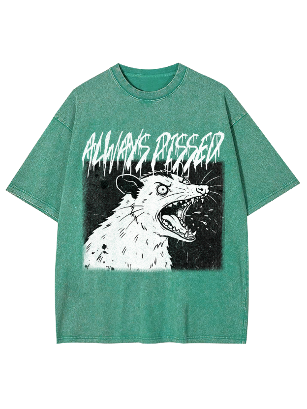 [Copy]aaa Washed Tshirt