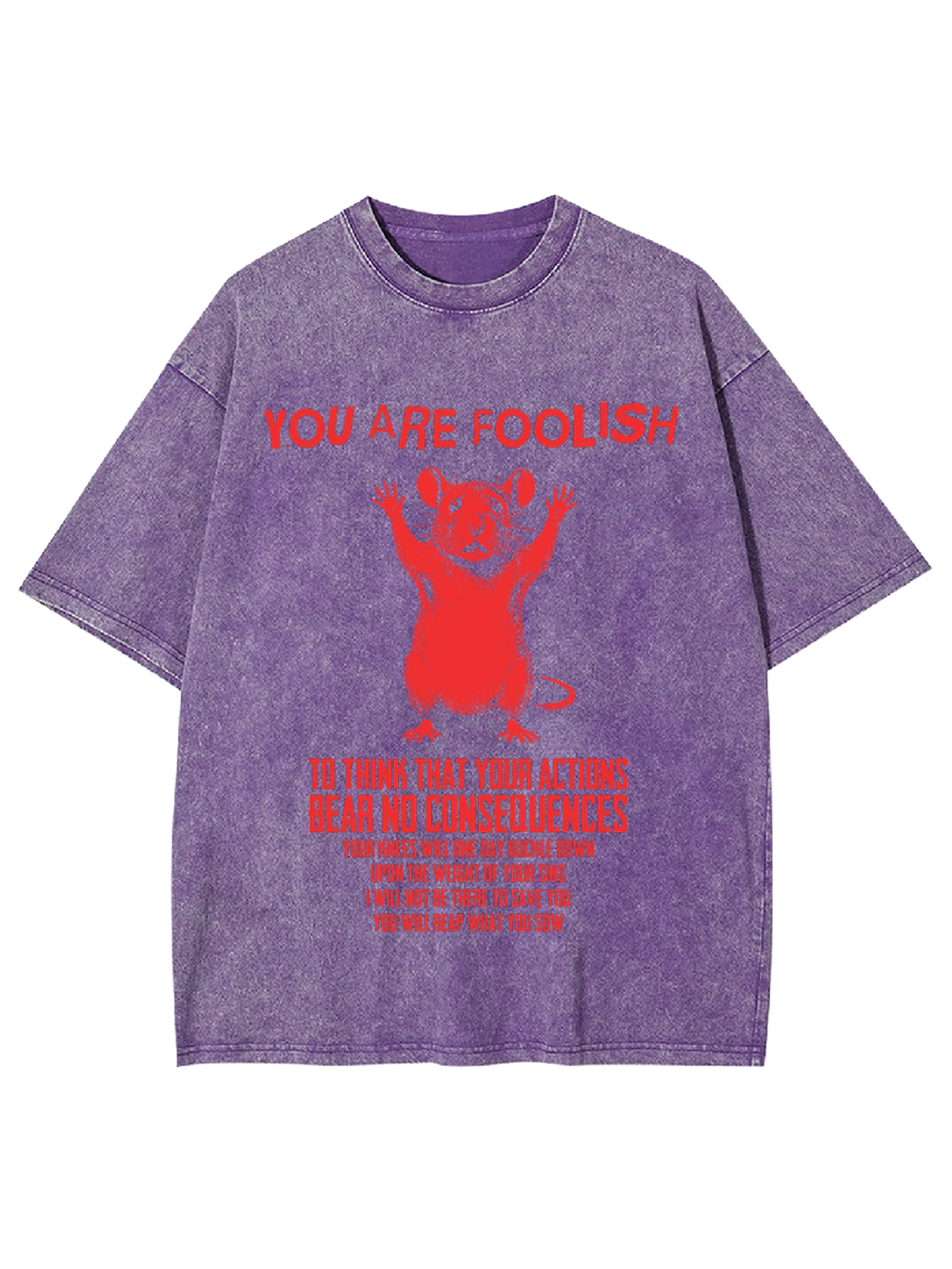 Echo of Consequence Washed Tshirt