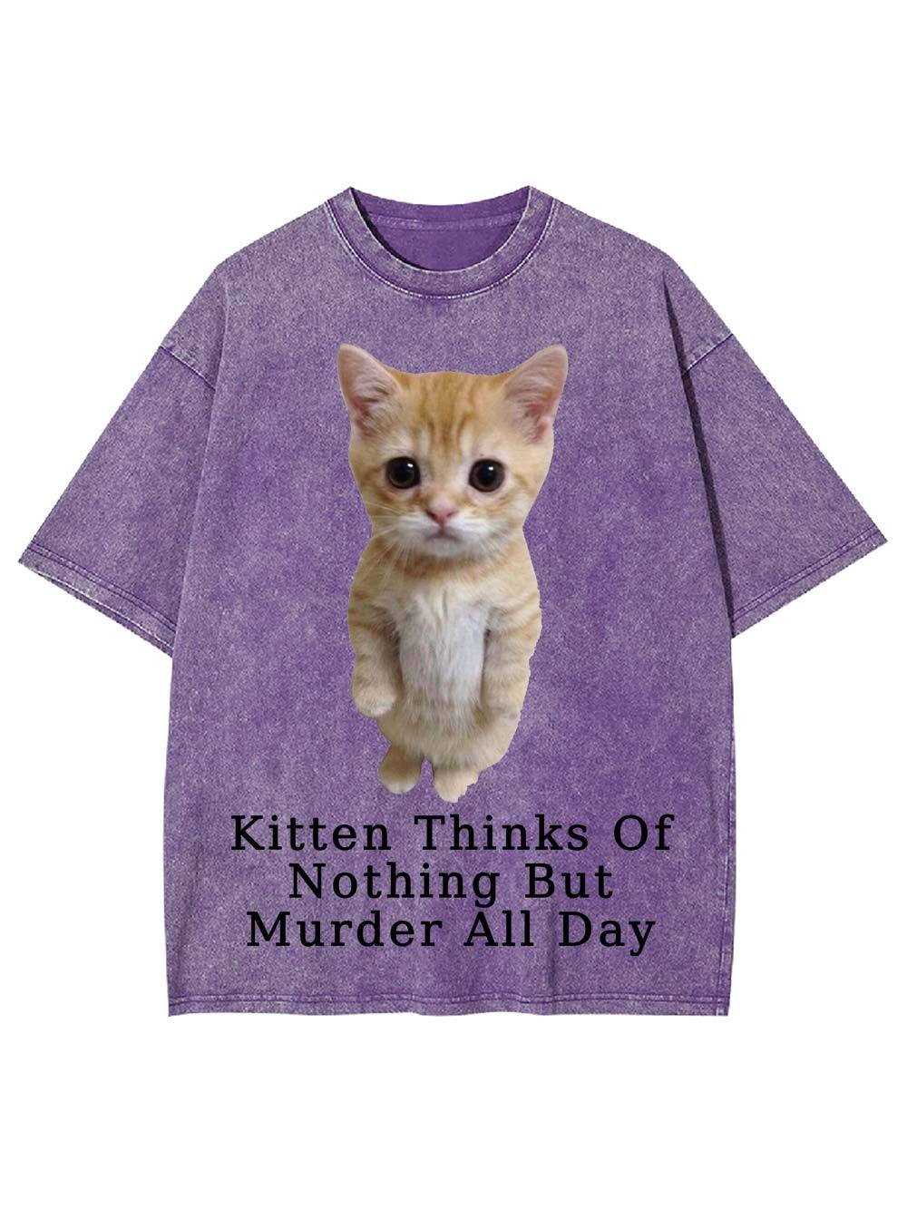 Kitten Thinks Of Nothing But Murder All Day Washed Tshirt