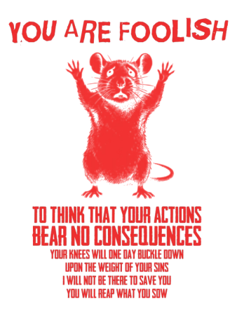 Echo of Consequence Washed Tshirt