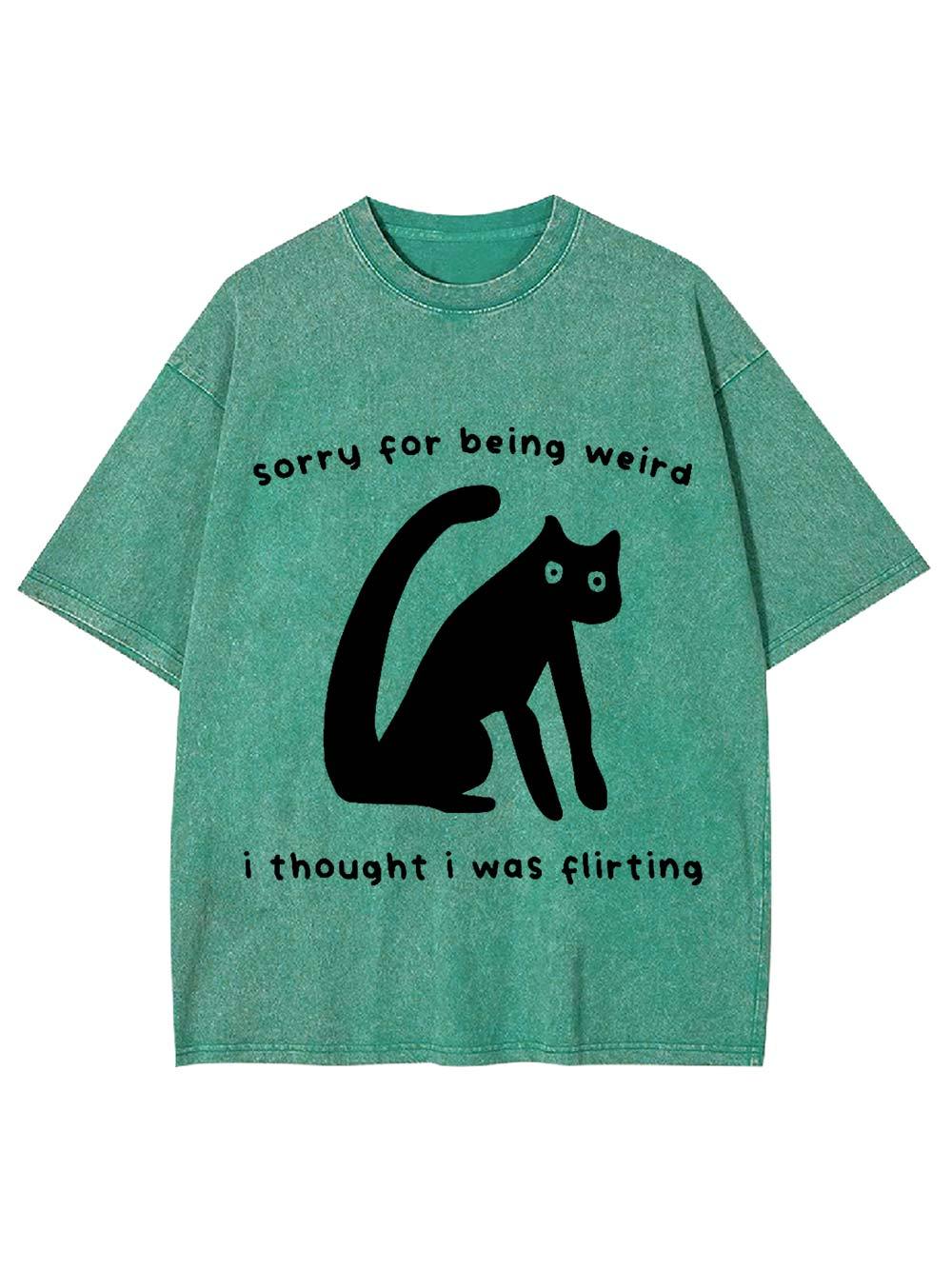 Sorry For Being Weird   I Thought I Was Flirting Washed Tshirt