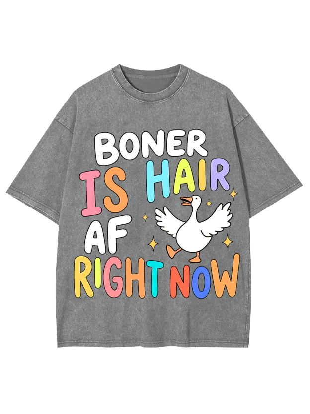 BONER IS HAIR AF RIGHT NOW Washed Tshirt
