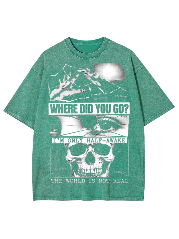 THE WORLD IS NOT REAL Washed Tshirt