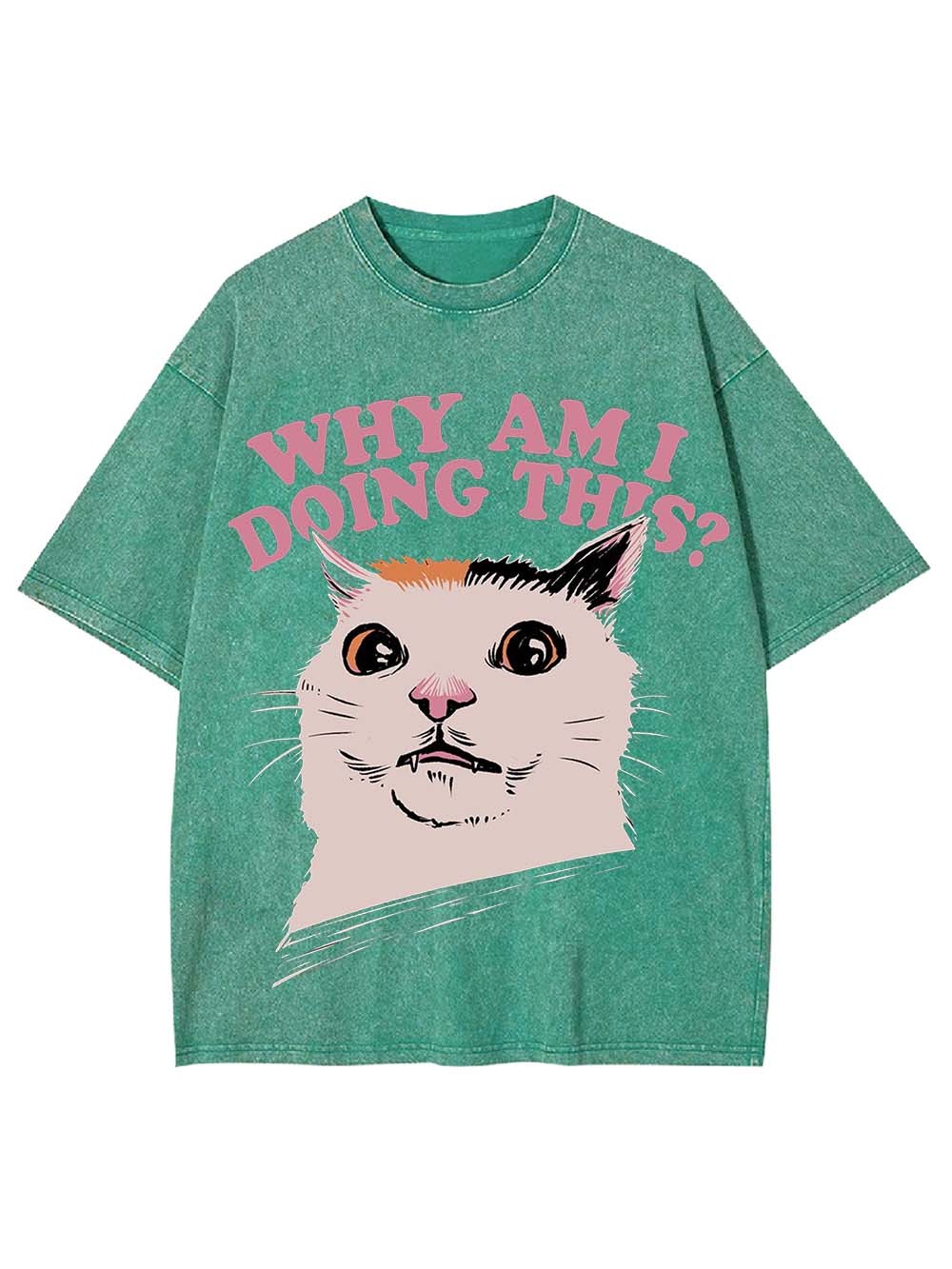 Why Am I Doing This? Washed Tshirt