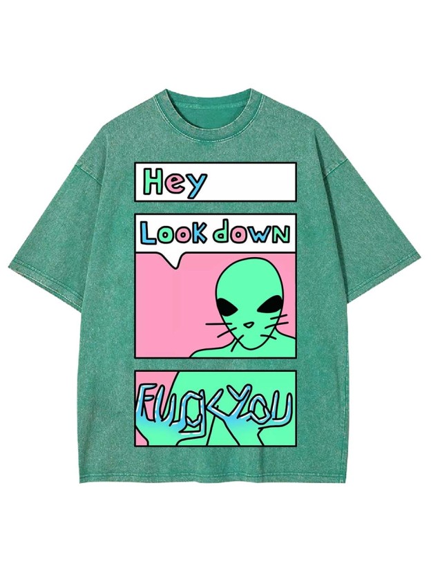 HEY LOOK DOWN WASHED TSHIRT