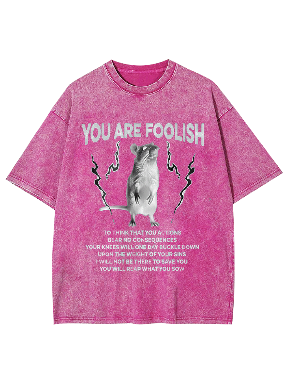 You Are Foolish Washed Tshirt