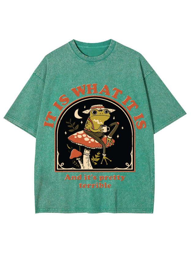 It Is What It Is Washed Tshirt