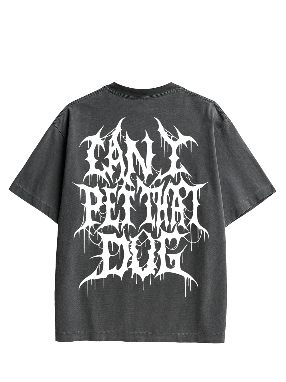 CAN I PET THAT DOG DOUBLE SIDED PRINT WASHED TSHIRT