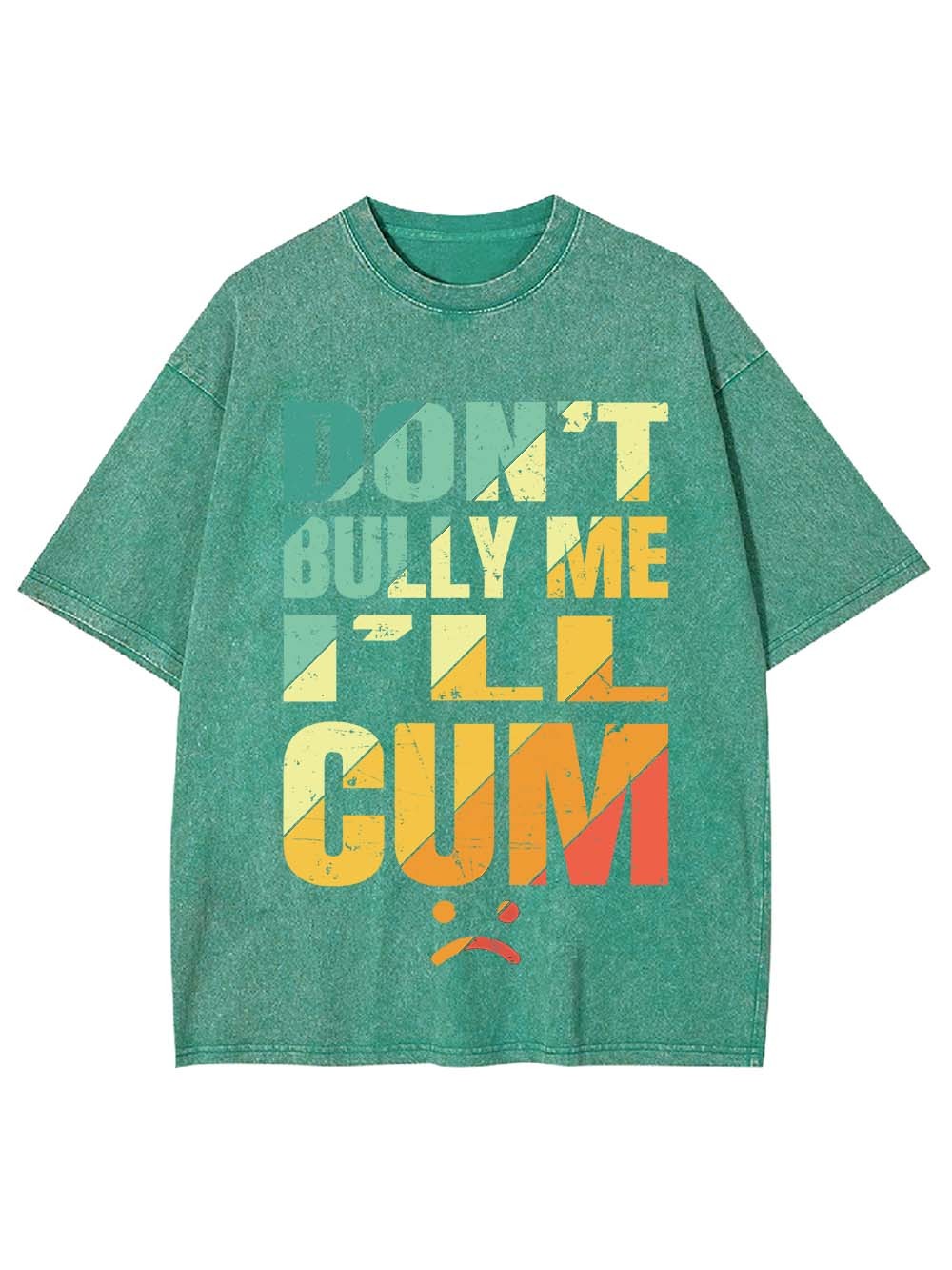 Don't Bully Me I'll Cum Washed Tshirt
