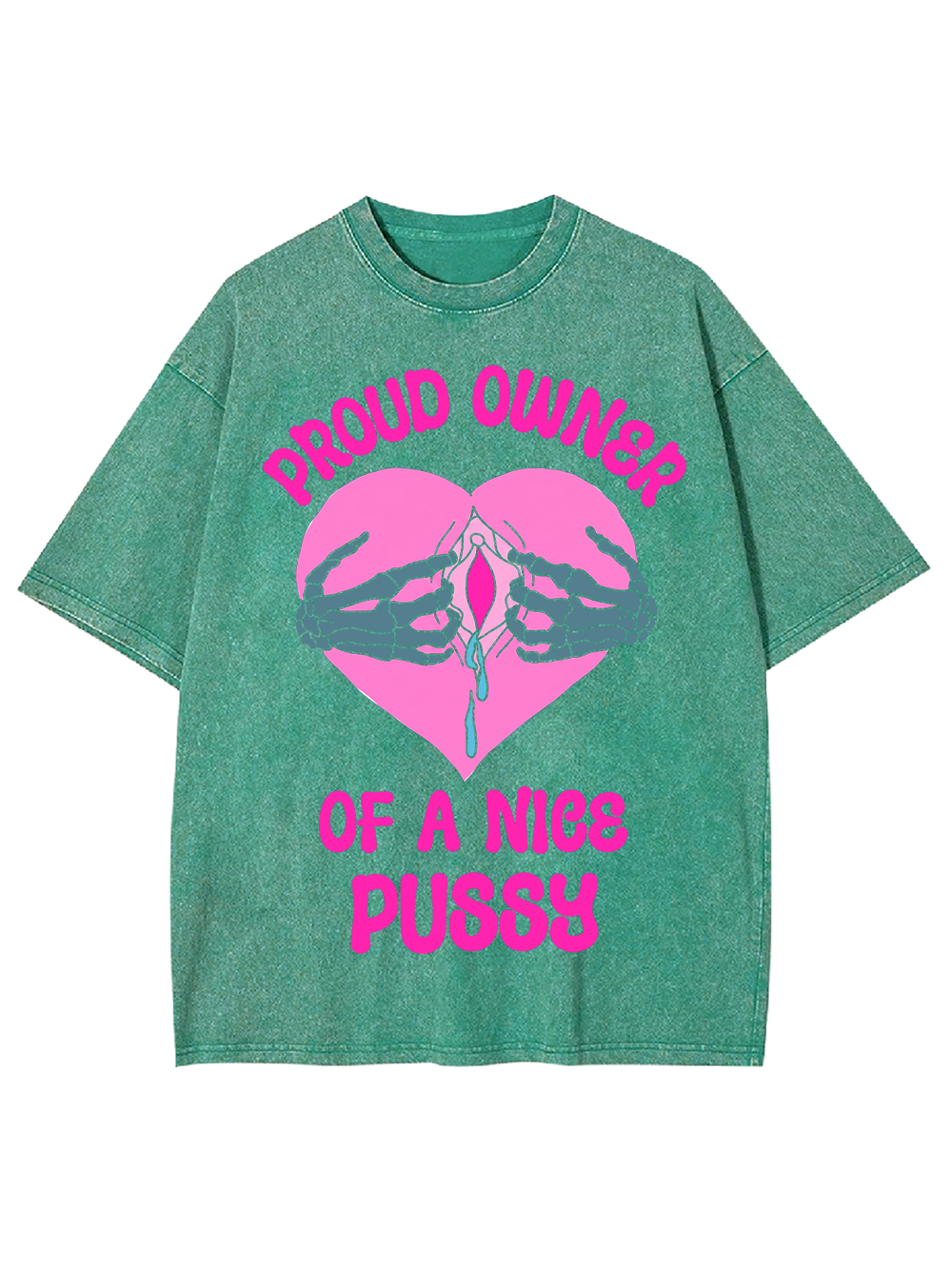 PROUD OWNER OF A NICE PUSSY WASHED TSHIRT