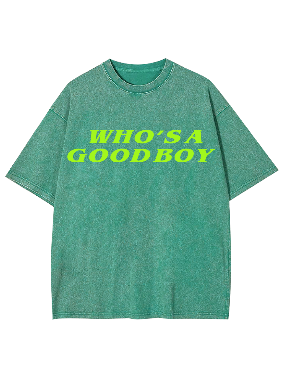 WHO’S A GOOD BOY AAA WASHED TSHIRT