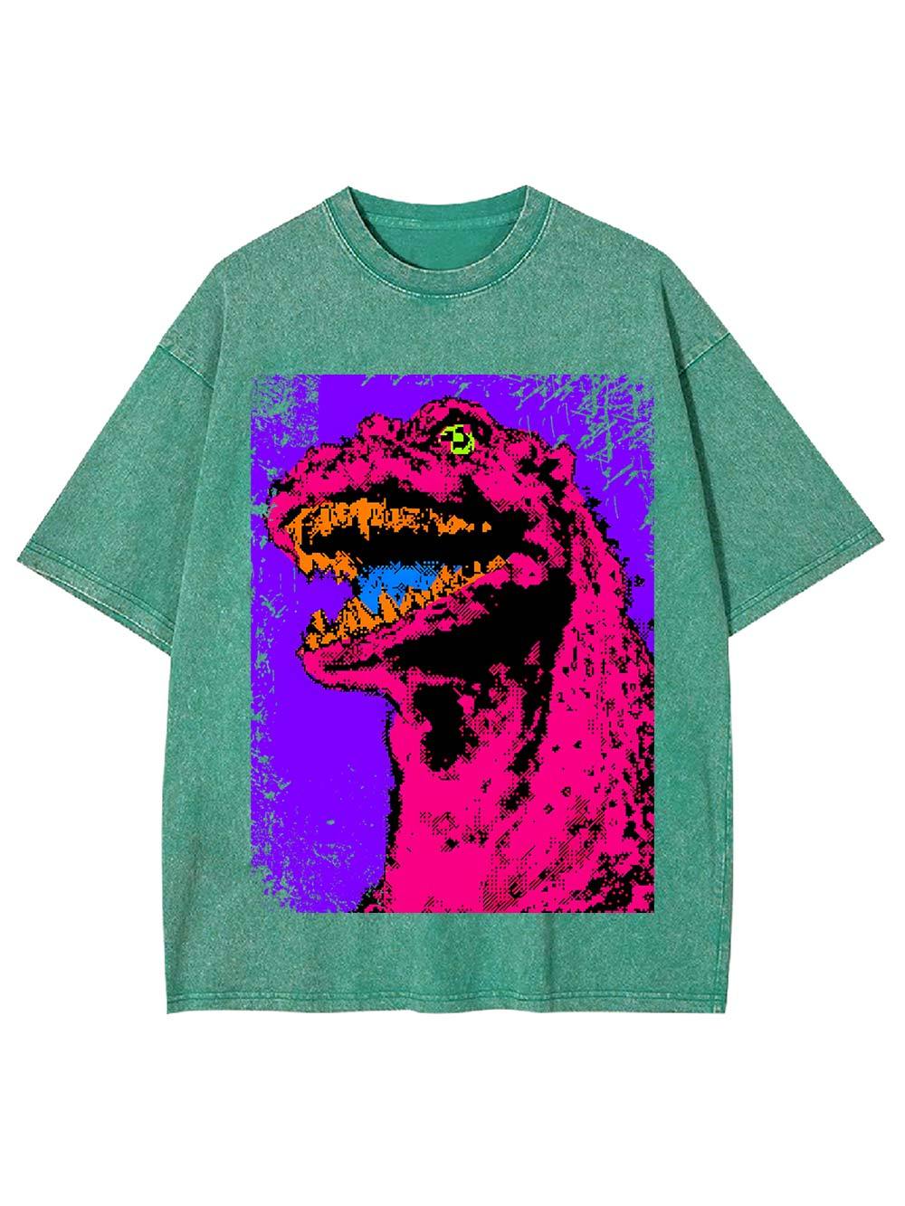 Neon Roar Washed Tshirt