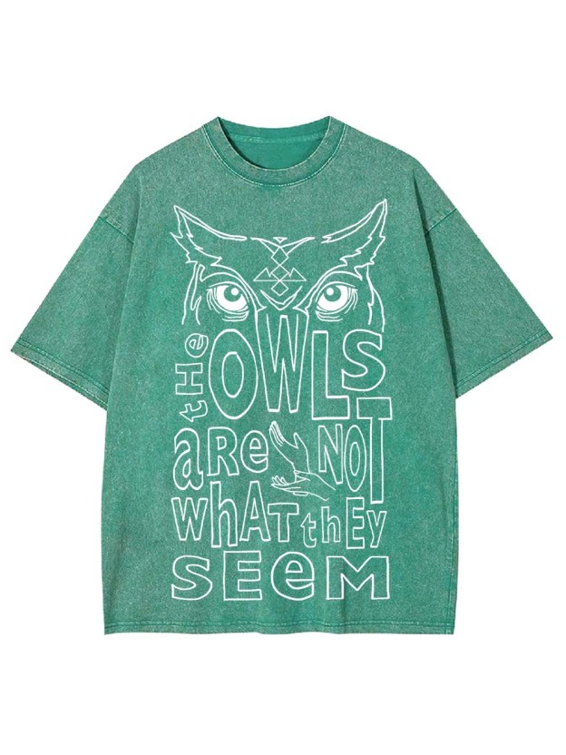 MYSTERIOUS OWLS WASHED TSHIRT