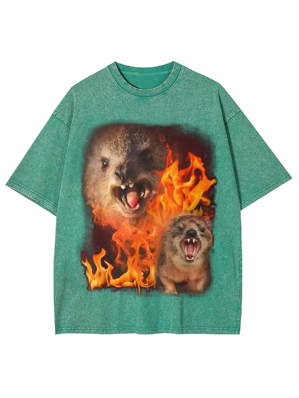 Fury in Flames Washed Tshirt