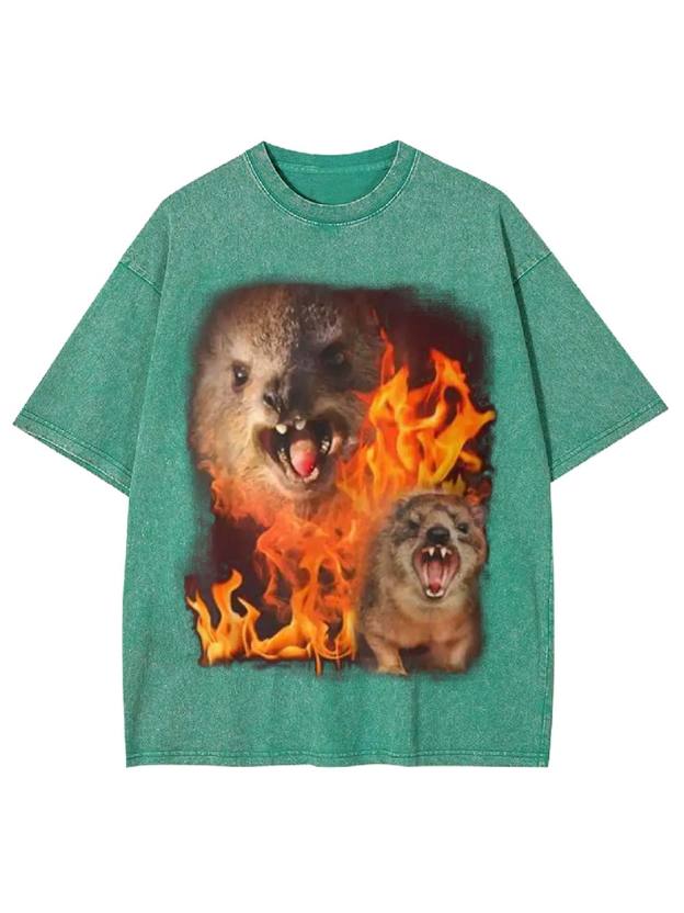 Fury in Flames Washed Tshirt